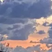 とほほの画像