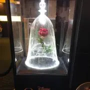 ☆モナカ☆