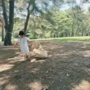 nonの画像
