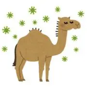 らくだ☆6/3〜10発送できませんの画像