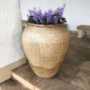 gomaankoの画像