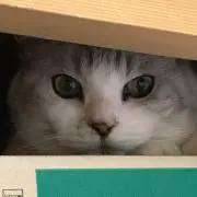 みちろの画像