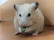 階下の画像