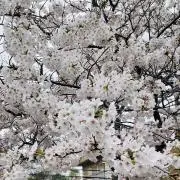 N・断捨離&ハンドメイドの画像