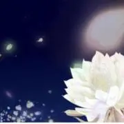 ルナ