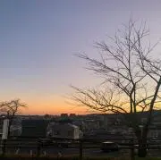 にこの画像
