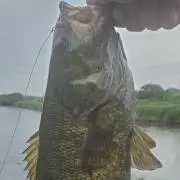 ひろ