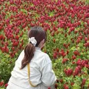 みぃの画像