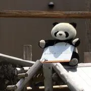 Matsumoto☆の画像