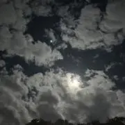 こうさぎ