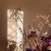 yuuuの画像