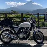 どんちゃんの画像