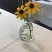 アモンの画像