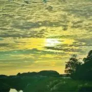 井上の画像
