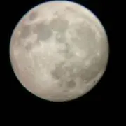 yosoの画像