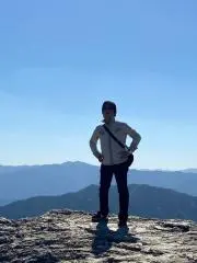 Masaの画像