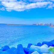 ♡こーぎ♡の画像