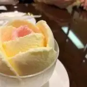 nomaの画像