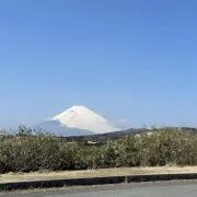 たにこの画像