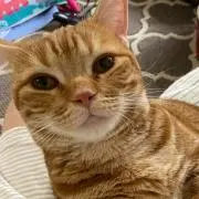 こうしょう