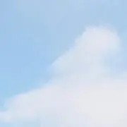 たらむ