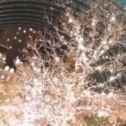 Naの画像