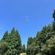 UchUの画像