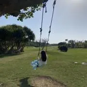 きなこもちの画像
