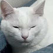 Kan