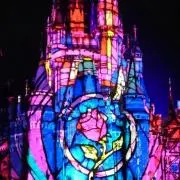 きょんの画像