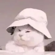 aの画像