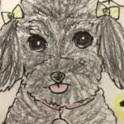 ミスポポの画像
