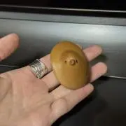 ロザンヌパークの画像