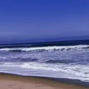 yu-の画像