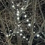 Versailles KAMIJO 直筆サイン - メルカリ