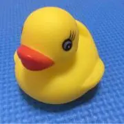 sansan