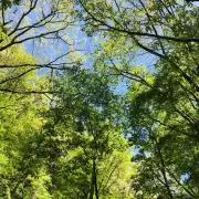 (^○^)!!の画像