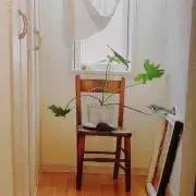 Ayalaの画像