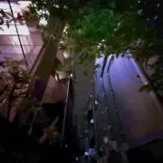 タマキ