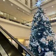 Winterの画像