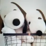 手袋の画像