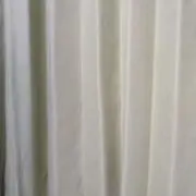 にゃんこの画像
