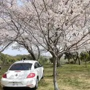 TFuji