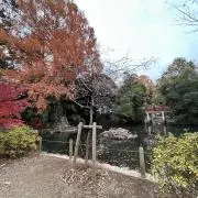 67canonの画像