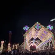 tamaniの画像