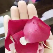 SK簡易包装中古品に御理解のある方のみの画像