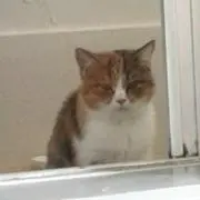はるとも