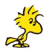 みかんの画像