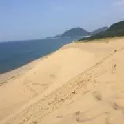 テリヤキチキン
