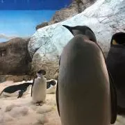りっじまん